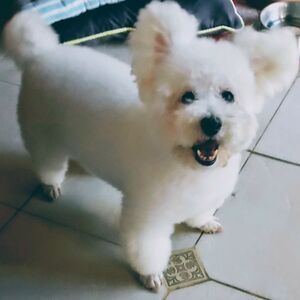 barbarapugliese_1 avatar