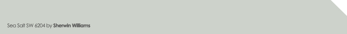 Sea Salt SW 6204 paint color by Sherwin Williams