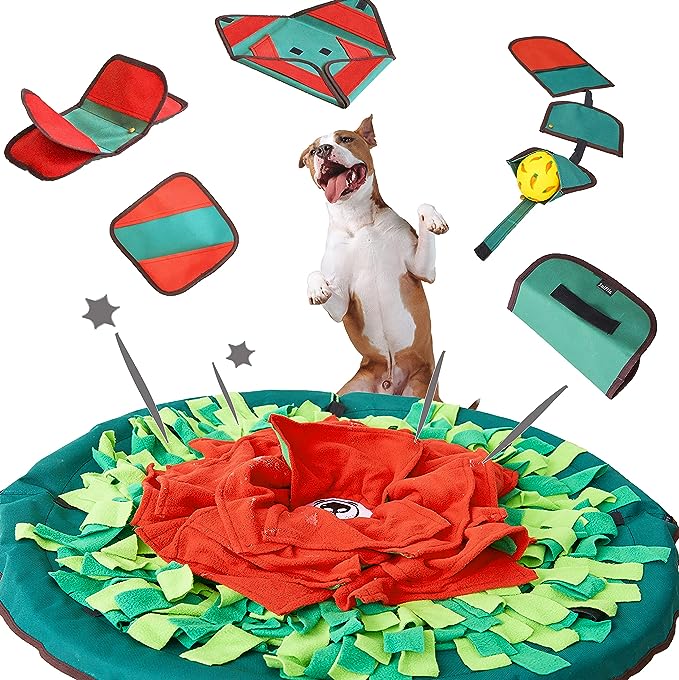 The 20 Best Dog Toys for Boredom (Vet Recommendations)