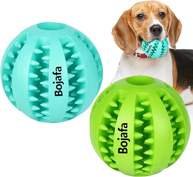 Dog with two shred-friendly Bojafa balls, one green and one blue, designed for active play. Dog with two shred-friendly Bojafa balls, one green and one blue, designed for active play.