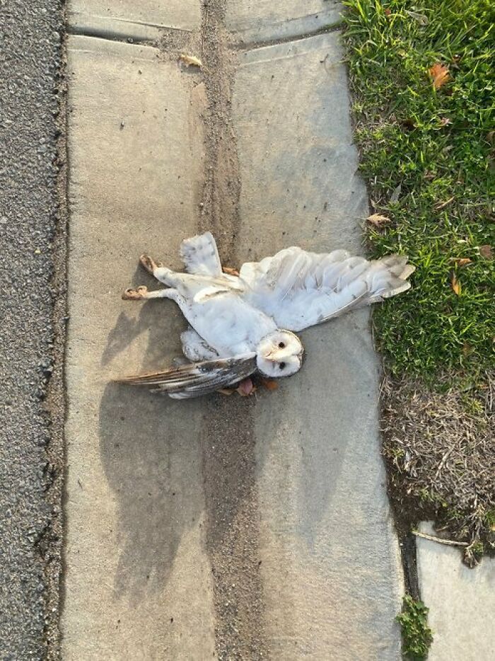 Human Impact: "Crime Scene" By Katherine Firth (Shortlist)