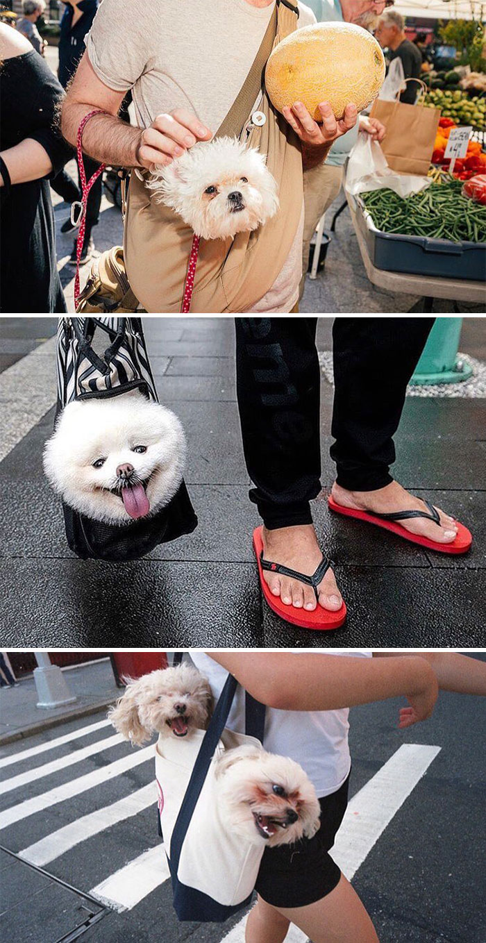 This Instagram Account Shows The Similarities Between The Photographers And Their Street Photography