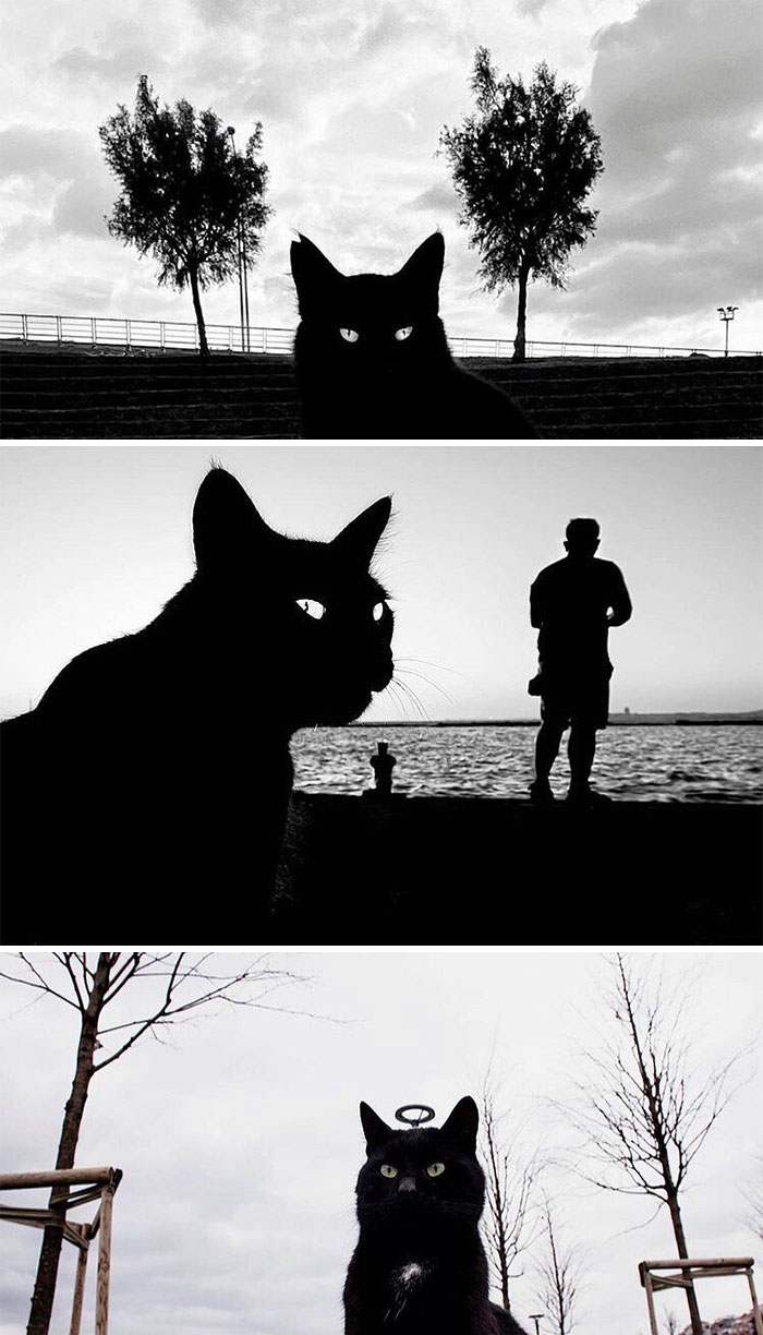 This Instagram Account Shows The Similarities Between The Photographers And Their Street Photography