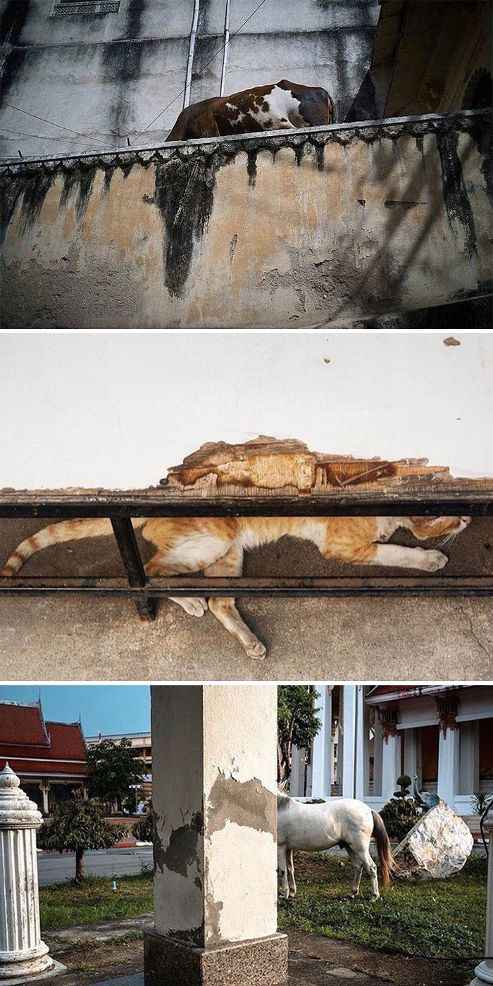 This Instagram Account Shows The Similarities Between The Photographers And Their Street Photography