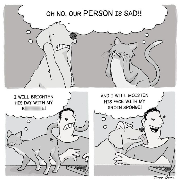 This New Yorker Cartoonist Might Make You Laugh With His Witty Single-Panel Comics (22 New Pics)