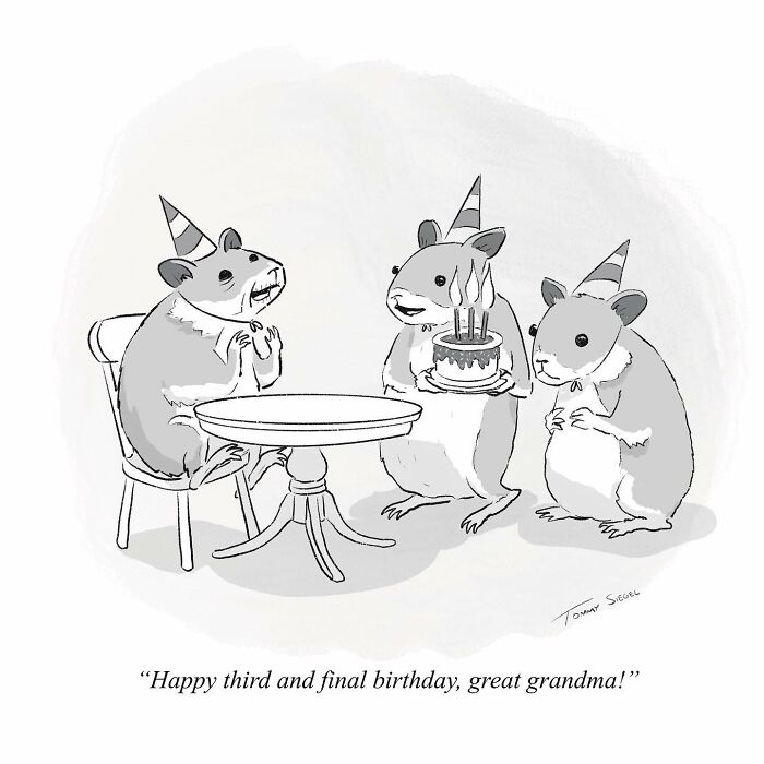 This New Yorker Cartoonist Might Make You Laugh With His Witty Single-Panel Comics (22 New Pics)