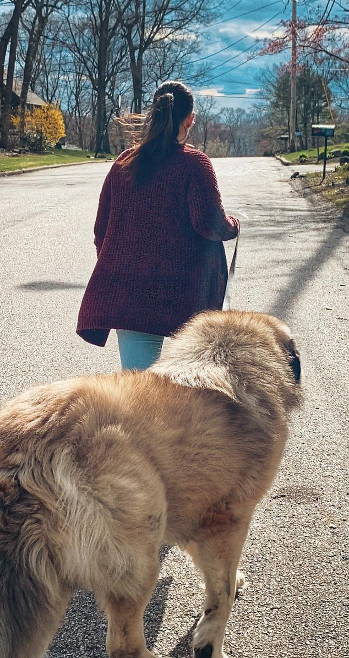 This Family From Boston Shares What It’s Like To Live With A Rare Bear-Like Guardian Dog This Family From Boston Shares What It’s Like To Live With A Rare Bear-Like Guardian Dog