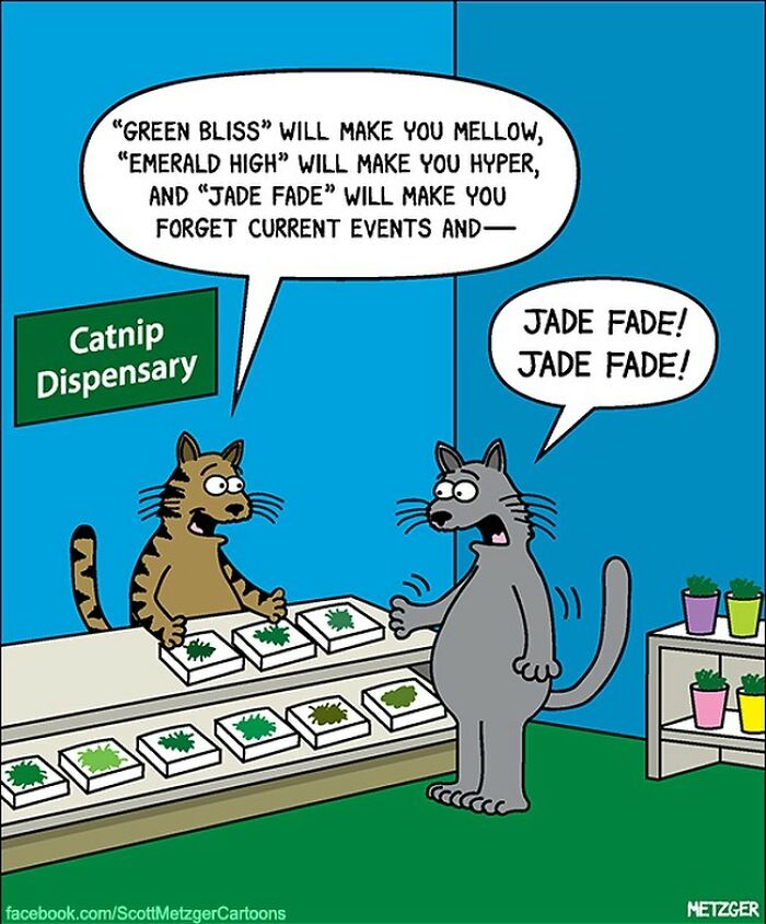 This Man Has Been Creating Cat Drawings For Over 25 Years And Here Are His Newest Ones