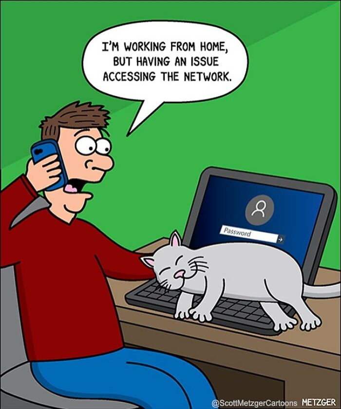 This Man Has Been Creating Cat Drawings For Over 25 Years And Here Are His Newest Ones