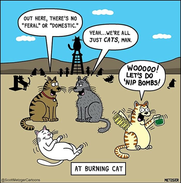 This Man Has Been Creating Cat Drawings For Over 25 Years And Here Are His Newest Ones