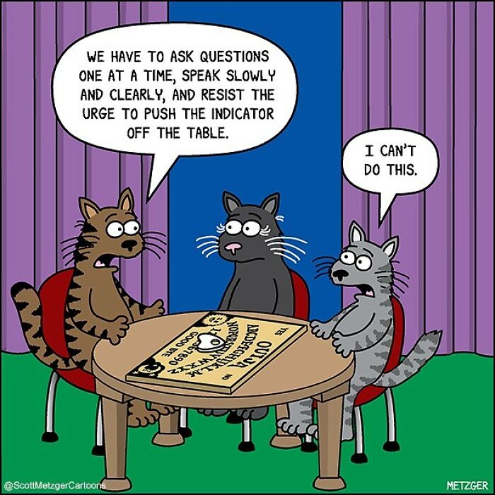 This Man Has Been Creating Cat Drawings For Over 25 Years And Here Are His Newest Ones