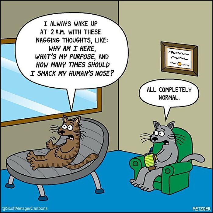 This Man Has Been Creating Cat Drawings For Over 25 Years And Here Are His Newest Ones