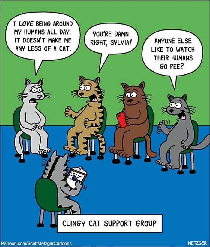 This Man Has Been Creating Cat Drawings For Over 25 Years And Here Are His Newest Ones