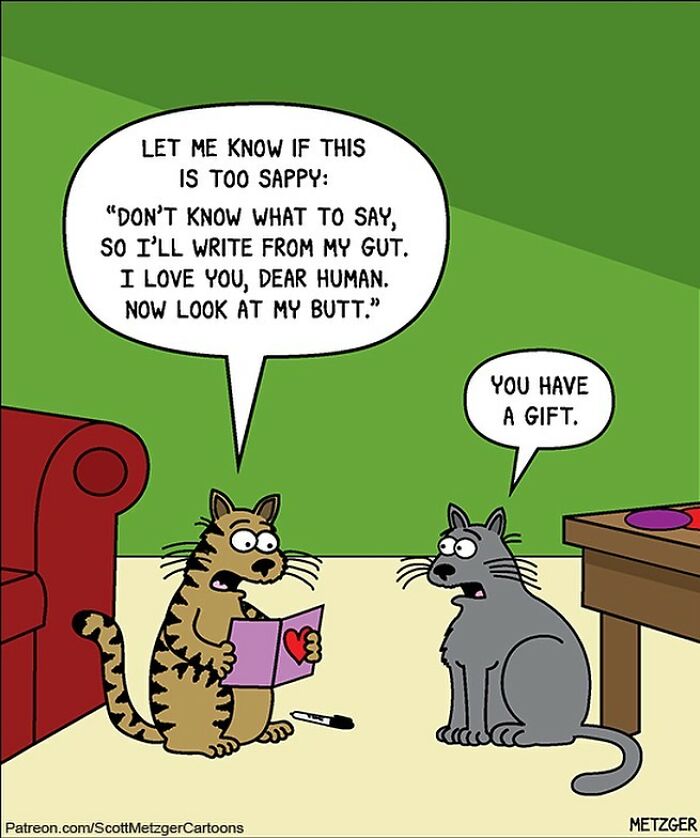 This Man Has Been Creating Cat Drawings For Over 25 Years And Here Are His Newest Ones