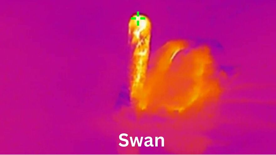 Trying Out A Hikmicro Thermal Monocular
