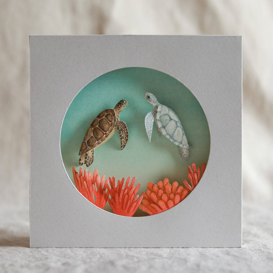 Hawksbill Sea Turtle