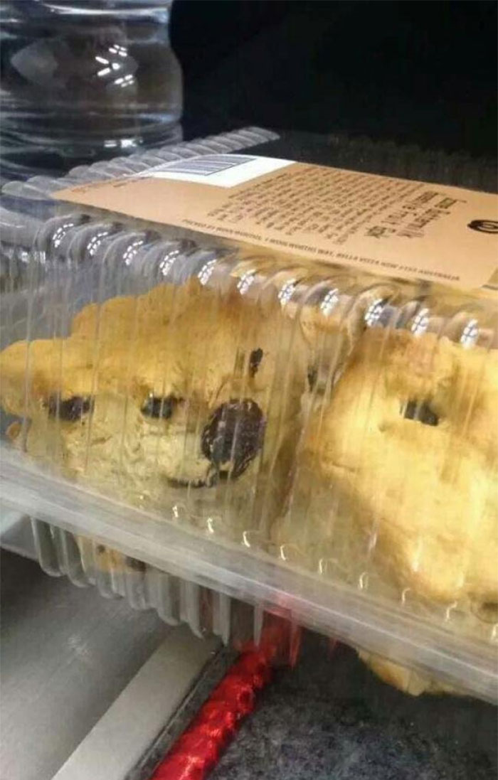 Weird-Cursed-Meals-Pics