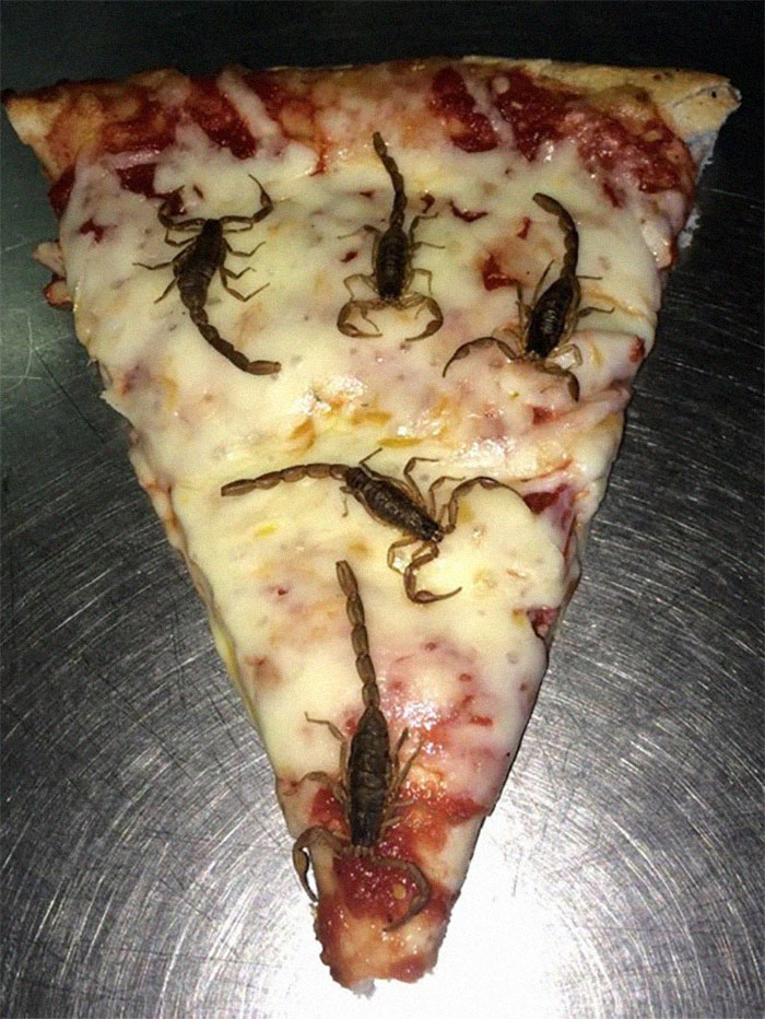 Weird-Cursed-Meals-Pics