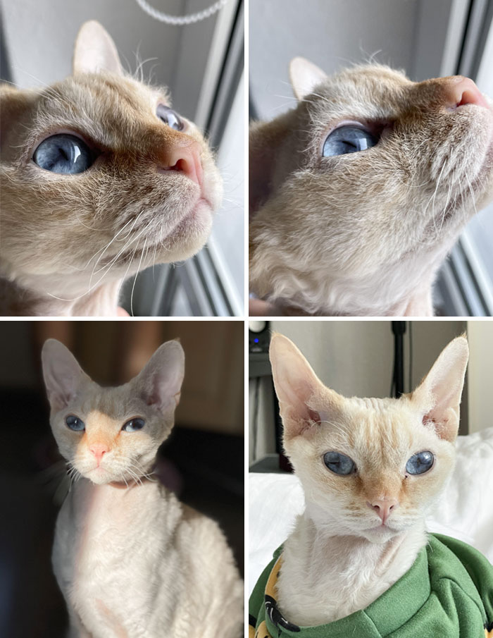 His Name Is Sky, You Can See Why