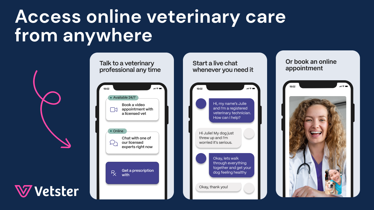 Online veterinary care app interface demonstrating dog-safe wipes guidance.