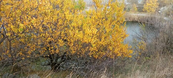 Here's What Artists Paint In The Front-Line Zone