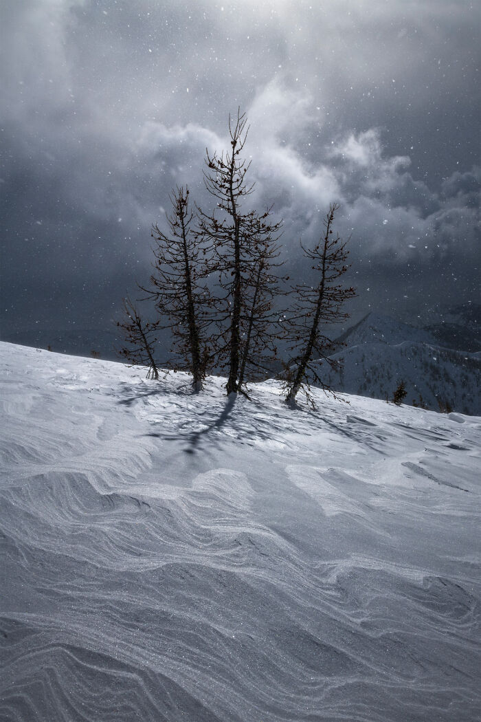 Best Natural Landscape Photos: Winners Of The Year 2023 Have Been Announced