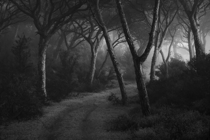 Best Natural Landscape Photos: Winners Of The Year 2023 Have Been Announced