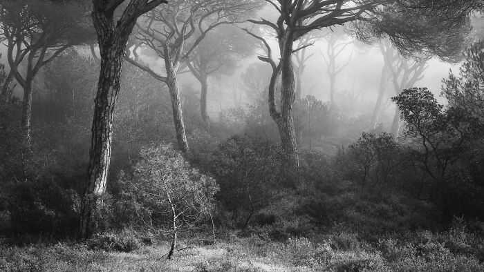 Best Natural Landscape Photos: Winners Of The Year 2023 Have Been Announced