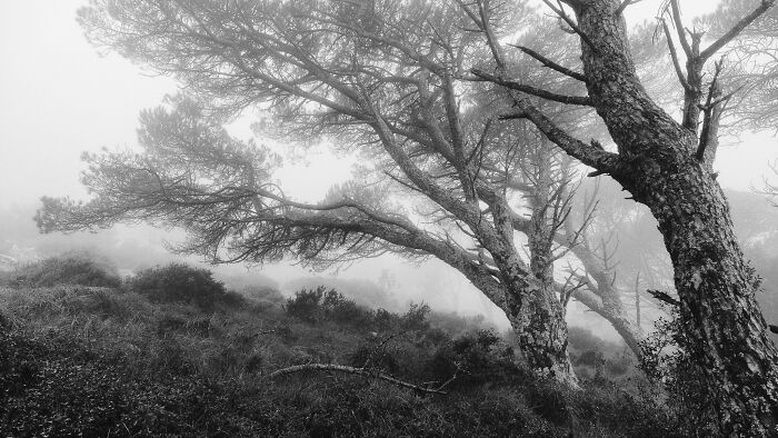 Best Natural Landscape Photos: Winners Of The Year 2023 Have Been Announced