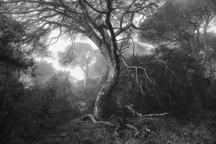 Best Natural Landscape Photos: Winners Of The Year 2023 Have Been Announced