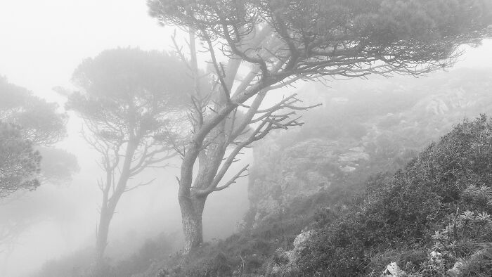 Best Natural Landscape Photos: Winners Of The Year 2023 Have Been Announced