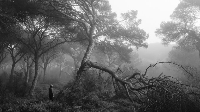 Best Natural Landscape Photos: Winners Of The Year 2023 Have Been Announced