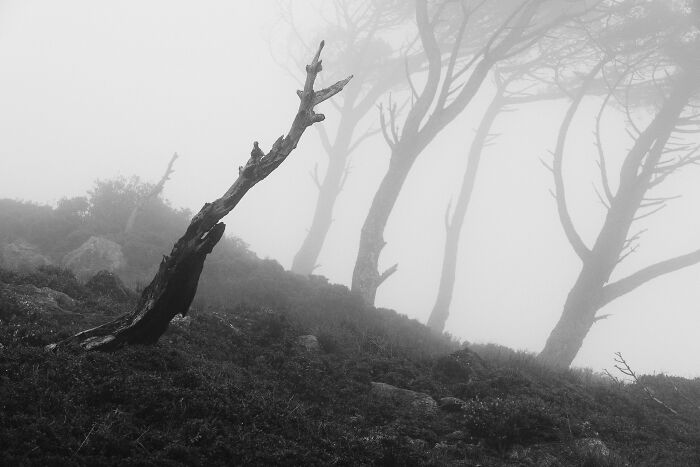 Best Natural Landscape Photos: Winners Of The Year 2023 Have Been Announced