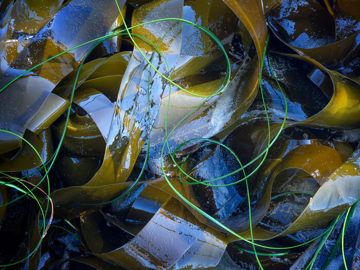 Best Natural Landscape Photos: Winners Of The Year 2023 Have Been Announced