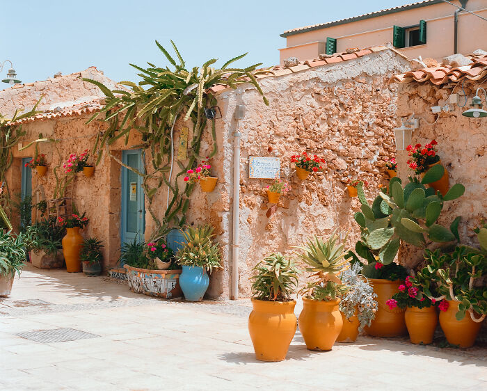 Civic Museum Sartorio In Trieste, Special Prize: Nowhere To Go But Everywhere By Francesco Aglieri Rinella