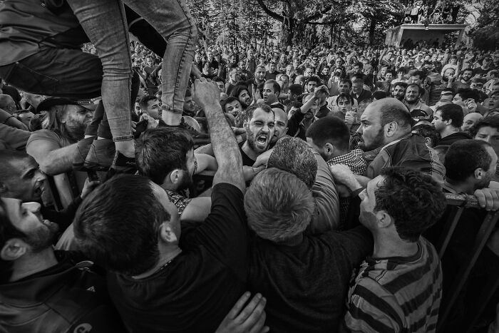 Civic Museum Sartorio In Trieste, Special Prize: Lelo By Alain Schroeder