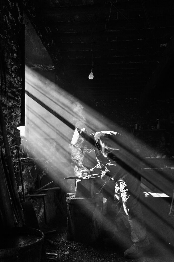 Civic Museum Sartorio In Trieste, Special Prize: Tempra By Martina D’Agresta