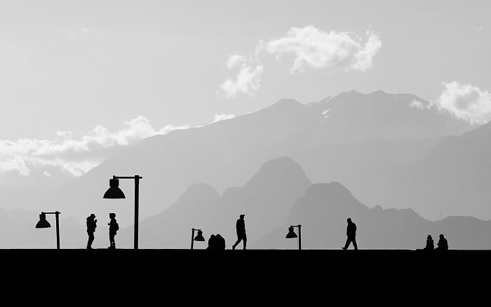 Streets, Remarkable Reward: Cartino By Nurlan Tahirli