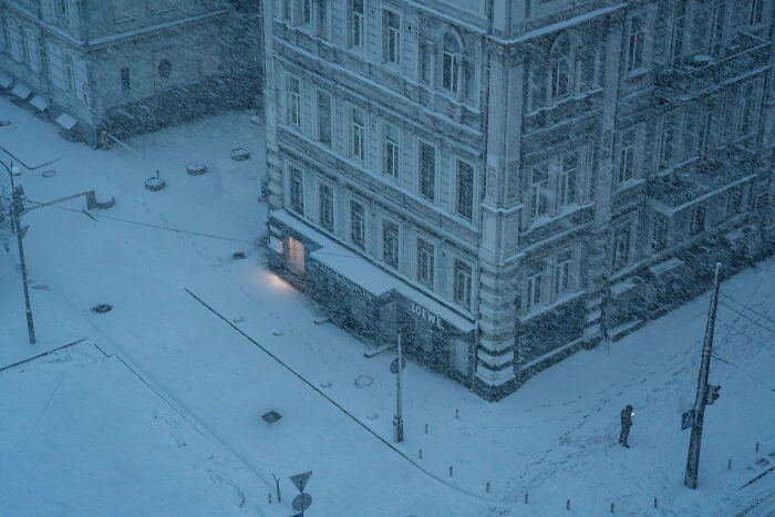 Streets, Remarkable Reward: And Then The Winter Came By Pierpaolo Mittica