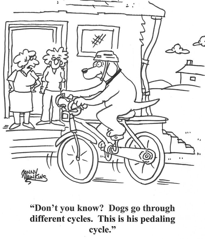 Working On My Dog Cartoon A Day Calendar