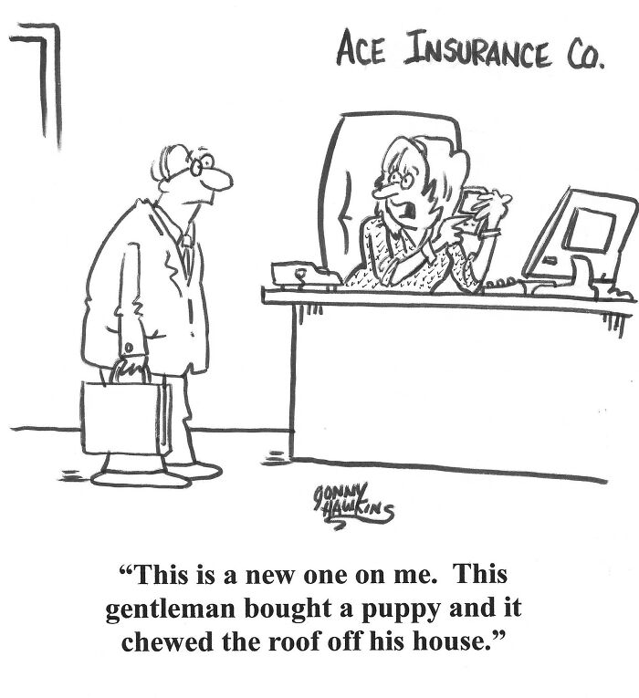 Working On My Dog Cartoon A Day Calendar