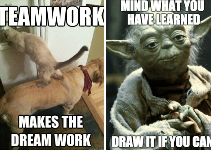 These Two Don't Go Together, Just Think That They Are Seperate