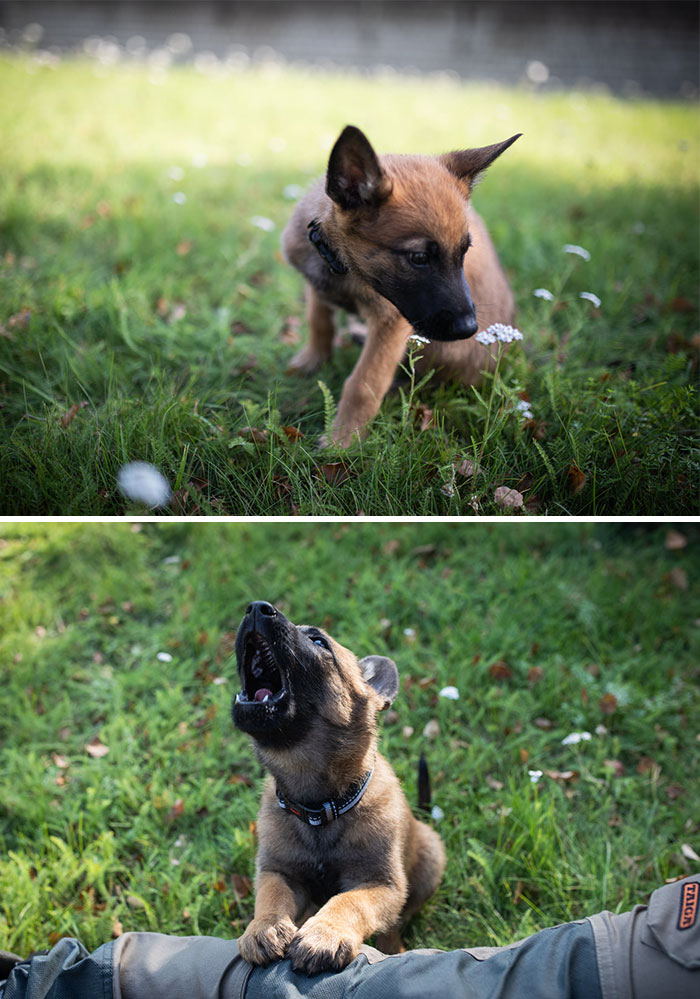 This Is Terror, Newest Addition To Estonian Police Special Forces
