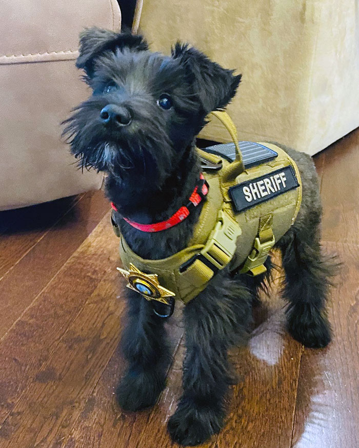 Whatcha Gonna Do When He Comes For You?