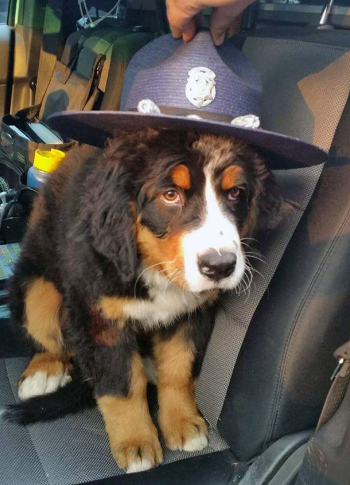 My Brother-In-Law Who Is A Police Officer Told Me He Had A New Partner