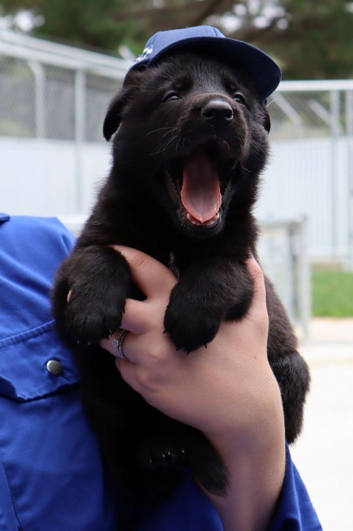 Is Tired Of Hearing Excuses For Poor Driving Behavior