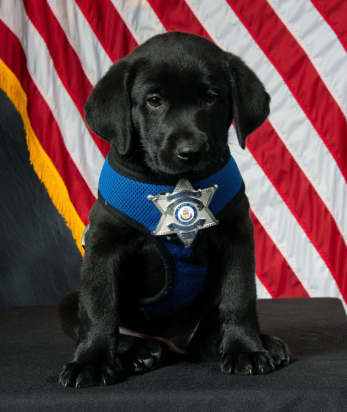 Everyone Needs An Official Photo