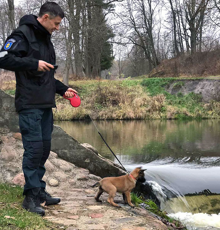 Gentleness Is Stronger Than Severity, Water Is Stronger Than Rock, Love Is Stronger Than Force. Hermann Hesse