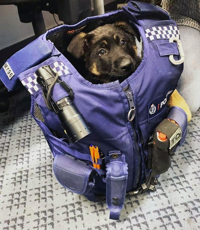 The Face You Give Your Boss When Asking To Leave Early On A Friday