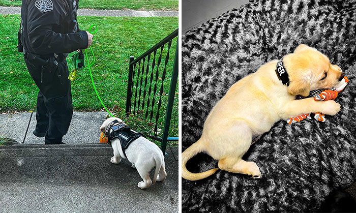 Got To Go To Work With Dad For A Bit. He Worked Some Overtime, I Worked Some Snoozing Time